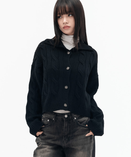 ユーキャンCD 昭和の演歌 日本の名作 寂庵法話集 ひろさちや いのちを