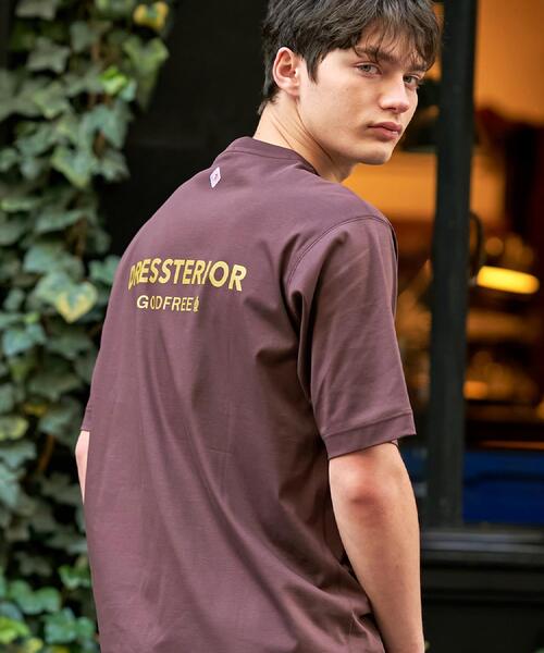 DRESSTERIOR(ドレステリア)の「【接触冷感/抗菌防臭/消臭】ICE CLEAR COTTON オーバーフィットTシャツ(Tシャツ/カットソー・メンズ・ブラック/ブラウン系その他/サックスブルー/ホワイト・90/91/92/94)」の5枚目の写真