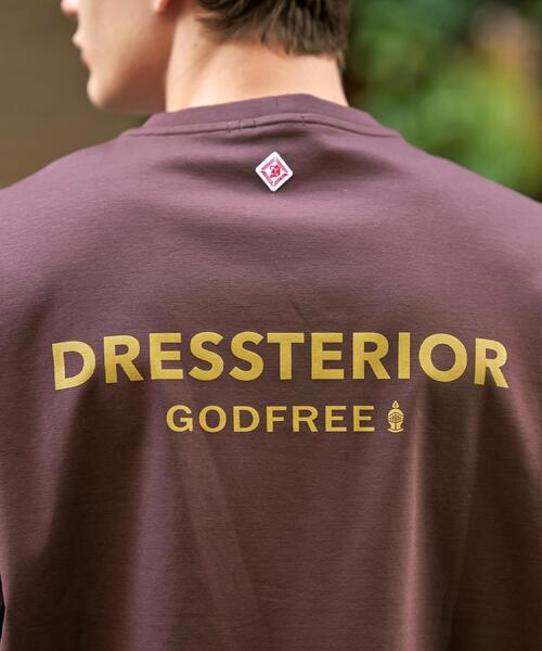 DRESSTERIOR(ドレステリア)の「【接触冷感/抗菌防臭/消臭】ICE CLEAR COTTON オーバーフィットTシャツ(Tシャツ/カットソー・メンズ・ブラック/ブラウン系その他/サックスブルー/ホワイト・90/91/92/94)」の21枚目の写真