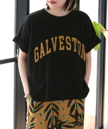カレッジロゴドロップＴｅｅ 2