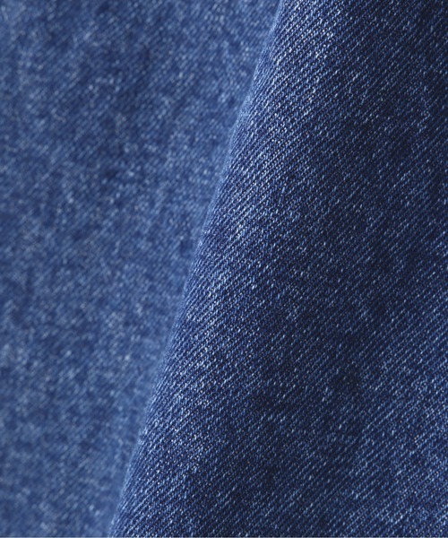 AVIREX(アヴィレックス)の「バーシティー ペインター パンツ / VARSITY PAINTER PANTS(デニムパンツ・メンズ・ホワイト/その他4/その他6・M/L/2XL/XL)」の15枚目の写真