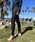 ROXYiLV[j́uPEARL DIVE/LV[bVK[hMXEXpbcibVK[hjvbubN