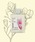 Of cosmetics�i�I�u�R�X���e�B�b�N�X�j�́u�\�[�v�I�u�w�A�E1-Ma�i�V�����v�[�j�v�b���̑�