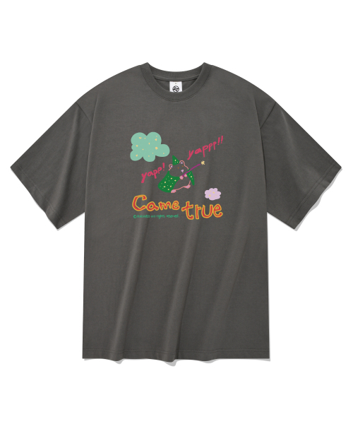 RADINEO(ラディネオ)の「ヤップ 半袖Tシャツ グレー(Tシャツ/カットソー・メンズ・その他・SMALL/LARGE/X-LARGE/MEDIUM)」の1枚目の写真