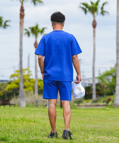 adamsJUGGLER（アダムスジャグラー）の「RTEGパームツリーLAティー（Tシャツ/カットソー・メンズ・グレー/ブルー/ブラック/ホワイト・S/L/M/XL）」の12枚目の写真