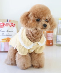 MY LITTLE DOG（マイ リトル ドッグ）の「ピクニックカラー ワッフルカーディガン - イエロー（ペットウェア）」