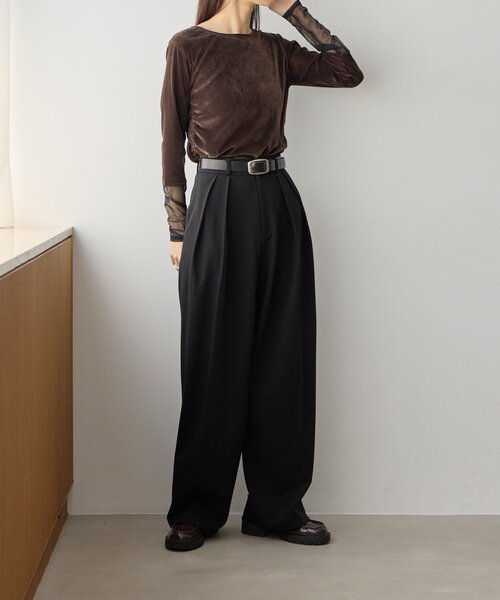 gemeil(ジェムイル)の「袖シアーベロアギャザートップス(LA-345)(Tシャツ/カットソー・レディース・アイボリー/ダークブラウン・FREE)」の22枚目の写真