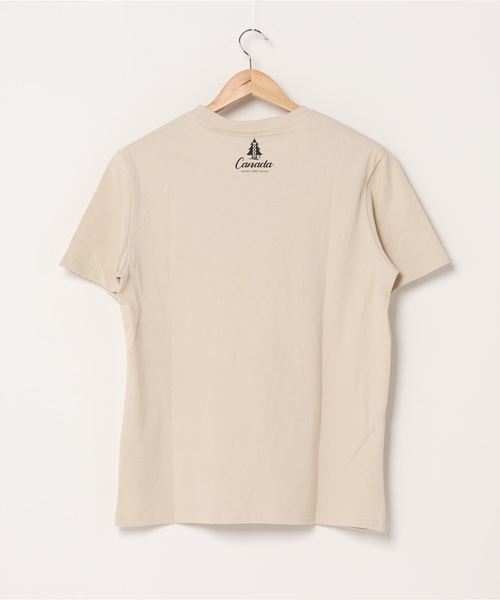 Woods(ウッズ)の「WOODS/ウッズ キャンププリントTEE(Tシャツ/カットソー・メンズ・イエロー/ベージュ・MEDIUM/LARGE/X-LARGE)」の13枚目の写真