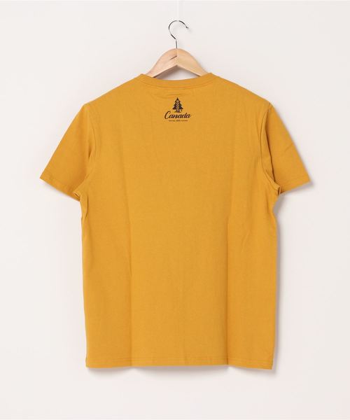 Woods(ウッズ)の「WOODS/ウッズ キャンププリントTEE(Tシャツ/カットソー・メンズ・イエロー/ベージュ・MEDIUM/LARGE/X-LARGE)」の14枚目の写真