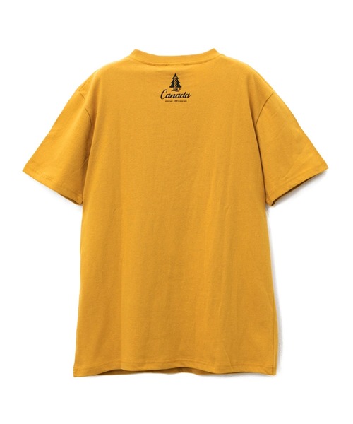 Woods(ウッズ)の「WOODS/ウッズ キャンププリントTEE(Tシャツ/カットソー・メンズ・イエロー/ベージュ・MEDIUM/LARGE/X-LARGE)」の7枚目の写真