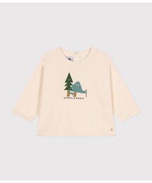 PETIT BATEAU | 長袖Ｔシャツ(Tシャツ/カットソー)