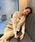 ANDRESDiAhXhj́ufringe glitter knot dress tWOb^[mbghXihXjvbx[W