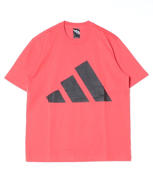 Fötus 赤 半袖Tシャツ ロゴ付き 楽天市場】【2026春夏新作】Tシャツ 半袖 男の子 女の子 スラッシャー