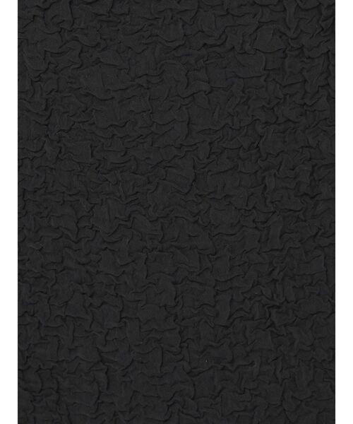 LAGUNAMOON（ラグナムーン）の「シャーリングジャガードIラインスカート（スカート・レディース・アイボリー/ブラック・SMALL/MEDIUM）」の7枚目の写真