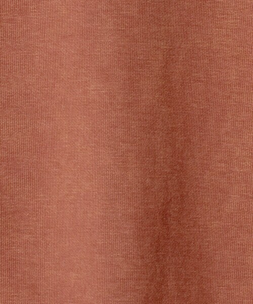 BEAUTY&YOUTH UNITED ARROWS（ビューティーアンドユースユナイテッドアローズ）の「ケミカル スウェット フーディ―（パーカー・メンズ・ブラウン系/ブラック・S/M/L/XL）」の15枚目の写真