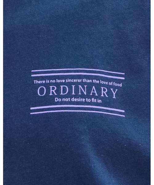 spiritoso(スピリトーゾ)の「ORDINARYプリントロングTシャツ(Tシャツ/カットソー・レディース・サックスブルー/オリーブ/オフホワイト・FREE)」の19枚目の写真