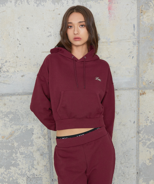 WM BACK LETTERING CROPPED HOODIE — бордовый