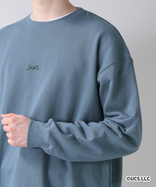 RAGEBLUE（レイジブルー）の「MOVIEイラスト/裏毛スウェットクルー/254639（スウェット・メンズ・ブラック/ダークグリーン/オフホワイト/ダークブラウン/ブルー・LARGE/SMALL/MEDIUM）」の8枚目の写真