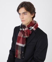 BLUE LABEL / BLACK LABEL CRESTBRIDGE｜ブルーレーベル