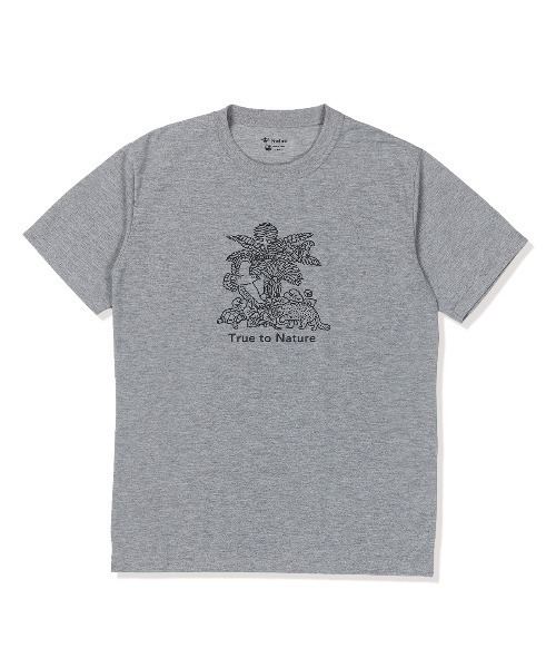 Foxfire（フォックスファイヤー）の「ＣシールドアイランドＴ　Ｓ／Ｓ（Tシャツ/カットソー・メンズ・ライトグリーン/ネイビー/グレー・S/M/L/XL）」の2枚目の写真