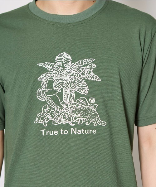 Foxfire（フォックスファイヤー）の「ＣシールドアイランドＴ　Ｓ／Ｓ（Tシャツ/カットソー・メンズ・ライトグリーン/ネイビー/グレー・S/M/L/XL）」の6枚目の写真