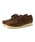 Clarks�i�N���[�N�X�j�́uClarks / Wallabee Brown Perforated�i���J�V��/�f�b�L�V���[�Y�j�v�b�u���E��