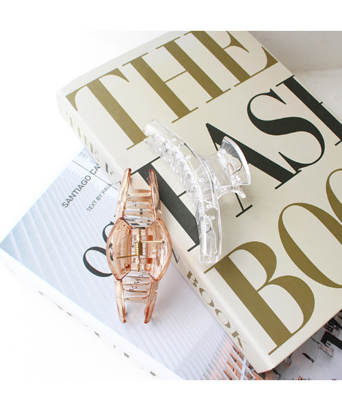 MODE ROBE(モードローブ)の「ヘアクリップ(バレッタ/ヘアクリップ・レディース・ブラウン/クリア・FREE)」の3枚目の写真