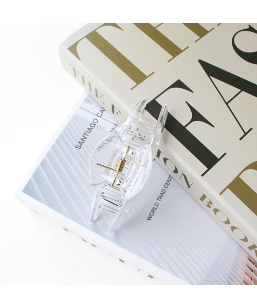 MODE ROBE(モードローブ)の「ヘアクリップ(バレッタ/ヘアクリップ・レディース・ブラウン/クリア・FREE)」の7枚目の写真