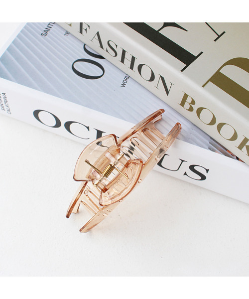 MODE ROBE(モードローブ)の「ヘアクリップ(バレッタ/ヘアクリップ・レディース・ブラウン/クリア・FREE)」の11枚目の写真