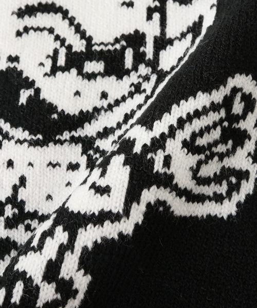 OBEY（オベイ）の「【OBEY / オベイ】DEVIL BEANIE：ビーニー（ハット・レディース・サックスブルー/ブラック・FREE）」の6枚目の写真