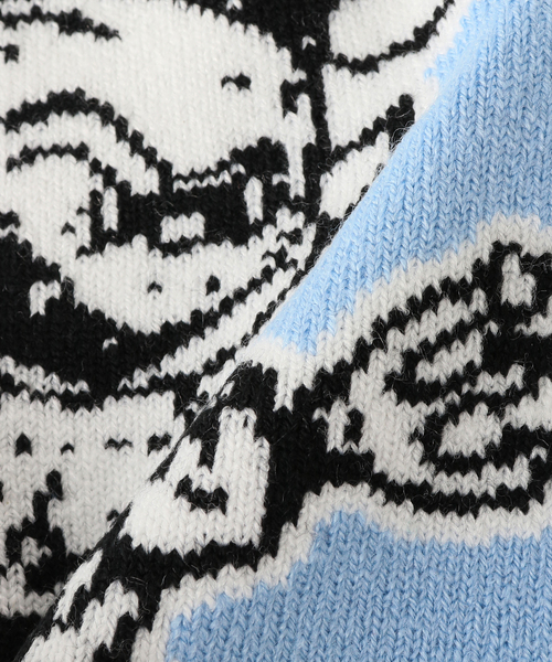 OBEY（オベイ）の「【OBEY / オベイ】DEVIL BEANIE：ビーニー（ハット・レディース・サックスブルー/ブラック・FREE）」の5枚目の写真