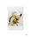 DisneyifBYj[j́u|XgJ[hiXe[Vi[jvb̑10