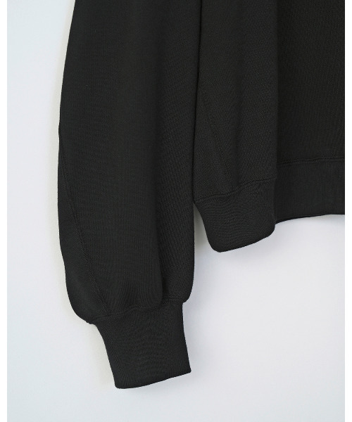 VICTIM（ヴィクティム）の「VICTIM ヴィクティム / SHORT SWEAT ショートスウェット トレーナー / VTM-25-CS-103（スウェット・メンズ・ブラック/グレー/ライトグレー・3/2/1）」の7枚目の写真