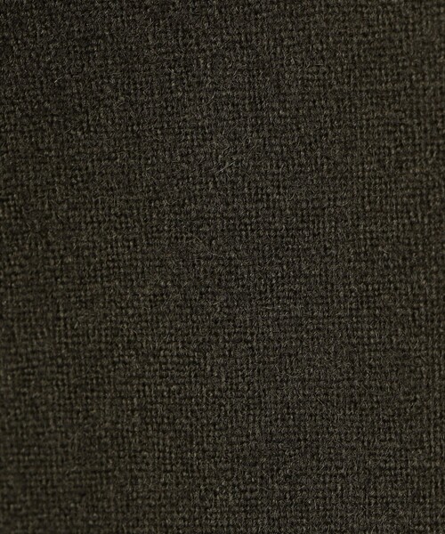 EDITION（エディション）の「ウールメルトンポプリン クロップドシャツ（シャツ/ブラウス・レディース・ブラック系その他/ダークブラウン・36/34）」の11枚目の写真