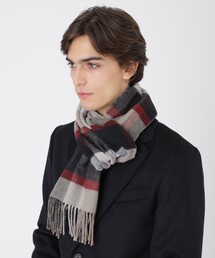 BLUE LABEL / BLACK LABEL CRESTBRIDGE｜ブルーレーベル