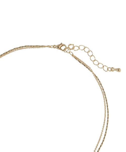 earth music&ecology(アースミュージックアンドエコロジー)の「レター2連ネックレス(ネックレス・レディース・ゴールド/シルバー・FREE)」の7枚目の写真