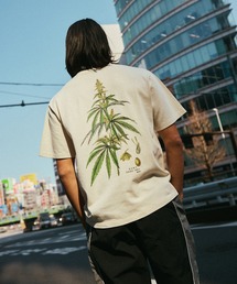HUF（ハフ）の「HUF CO-OP ARBORETUM TEE（Tシャツ/カットソー）」