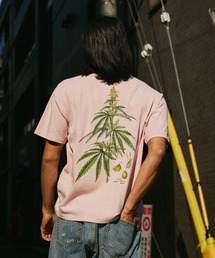 HUF（ハフ）の「HUF CO-OP ARBORETUM TEE（Tシャツ/カットソー）」