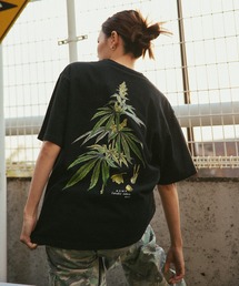 HUF(�n�t)��HUF CO-OP ARBORETUM TEE(T�V���c/�J�b�g�\�[)