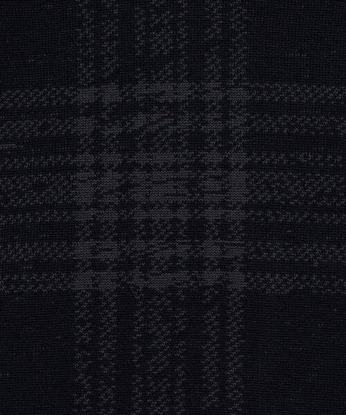 TOMORROWLAND (トゥモローランド)の「TOMORROWLAND tricot チェック柄 強撚ハイゲージコットンニットTシャツ(ニット/セーター・メンズ・ブルー系その他/グレー系その他・M/L/S)」の12枚目の写真