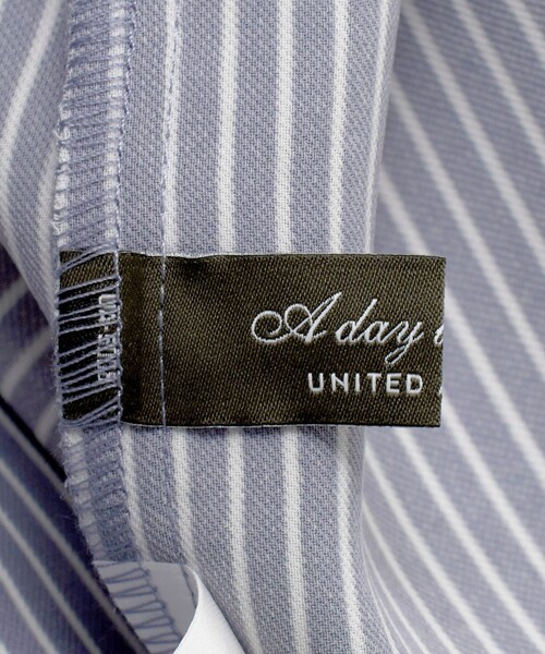 A DAY IN THE LIFE UNITED ARROWS(アデイインザライフユナイテッドアローズ)の「ドビー フェイクパール 9分袖ブラウス<A DAY IN THE LIFE>(シャツ/ブラウス・レディース・ホワイト/ベージュ/その他1・FREE)」の9枚目の写真