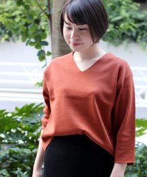 ivory court | Vネックミラノプルオーバー（マシンウオッシュ可）◆(ニット/セーター)