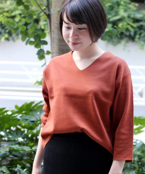ivory court(アイボリーコート)の「Vネックミラノプルオーバー(マシンウオッシュ可)◆(ニット/セーター・レディース・ブラック/グレー/ホワイト/ブラウン/ボルドー・FREE)」の1枚目の写真