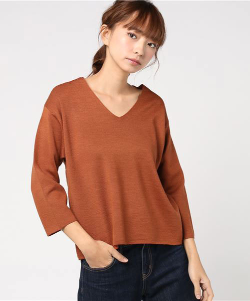 ivory court(アイボリーコート)の「Vネックミラノプルオーバー(マシンウオッシュ可)◆(ニット/セーター・レディース・ブラック/グレー/ホワイト/ブラウン/ボルドー・FREE)」の14枚目の写真