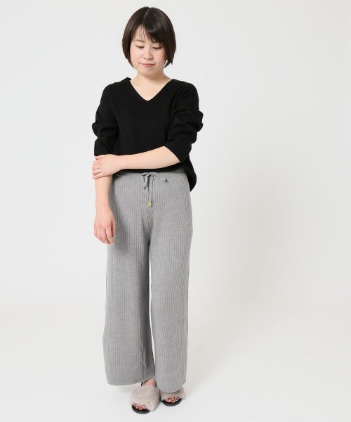 ivory court(アイボリーコート)の「Vネックミラノプルオーバー(マシンウオッシュ可)◆(ニット/セーター・レディース・ブラック/グレー/ホワイト/ブラウン/ボルドー・FREE)」の16枚目の写真