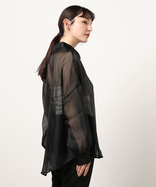 ANDGEEBEE(アンジービー)の「シアーシャツ(シャツ/ブラウス・レディース・ブラック/ベージュ・MEDIUM)」の4枚目の写真