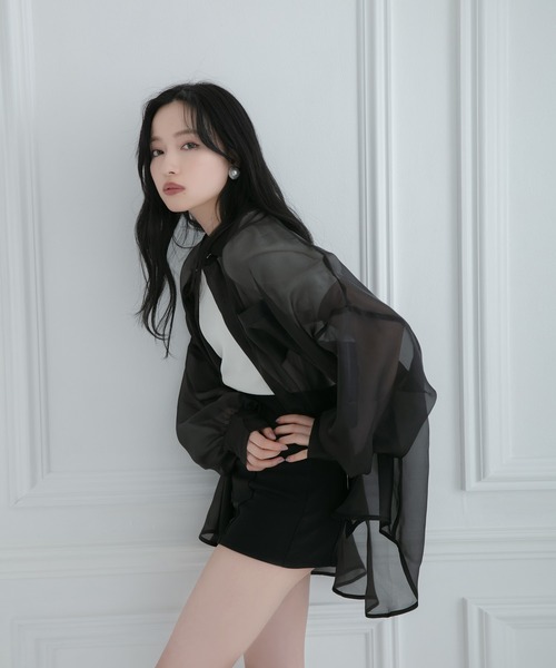 ANDGEEBEE(アンジービー)の「シアーシャツ(シャツ/ブラウス・レディース・ブラック/ベージュ・MEDIUM)」の18枚目の写真