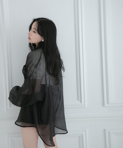 ANDGEEBEE(アンジービー)の「シアーシャツ(シャツ/ブラウス・レディース・ブラック/ベージュ・MEDIUM)」の21枚目の写真