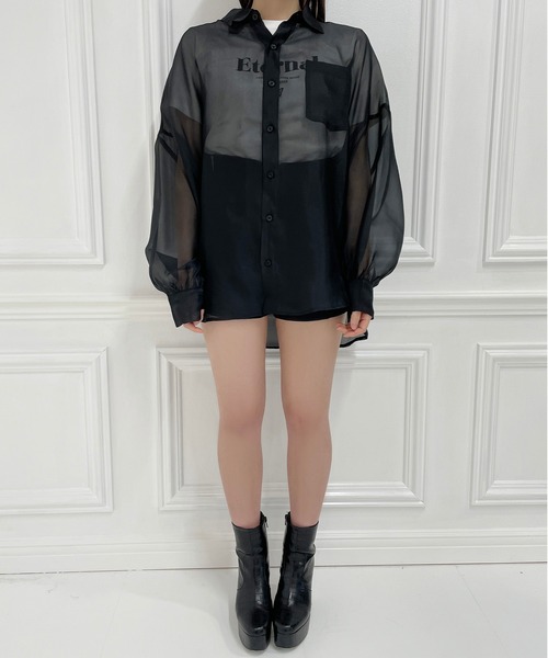 ANDGEEBEE(アンジービー)の「シアーシャツ(シャツ/ブラウス・レディース・ブラック/ベージュ・MEDIUM)」の22枚目の写真