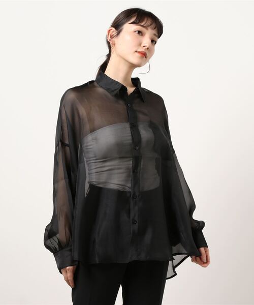 ANDGEEBEE(アンジービー)の「シアーシャツ(シャツ/ブラウス・レディース・ブラック/ベージュ・MEDIUM)」の6枚目の写真